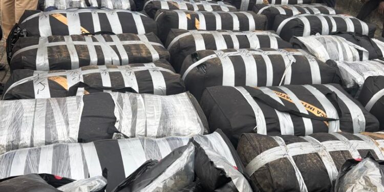 Apapa Customs seizes 1.8 tonnes of Cannabis, expired drugs worth ₦12.78bn