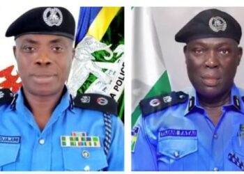 Five kidnap victims rescued, 88 suspects arrested as Lagos, Ogun police commands raid forests