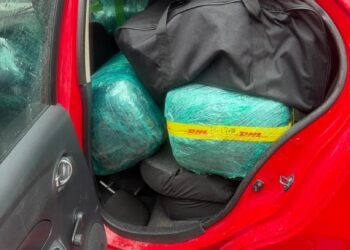 Apapa Customs Command seizes ₦26.5b cannabis indica hidden in imported vehicles