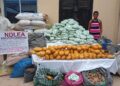 NDLEA Edo Command uncovers drug warehouse, nabs couple