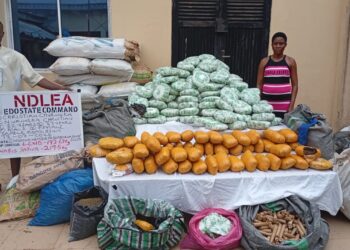 NDLEA Edo Command uncovers drug warehouse, nabs couple