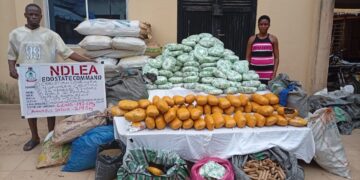 NDLEA Edo Command uncovers drug warehouse, nabs couple