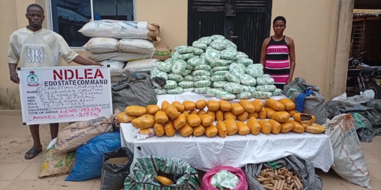 NDLEA Edo Command uncovers drug warehouse, nabs couple