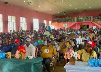 Cannabis farms catalyst for insecurity