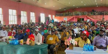 Cannabis farms catalyst for insecurity