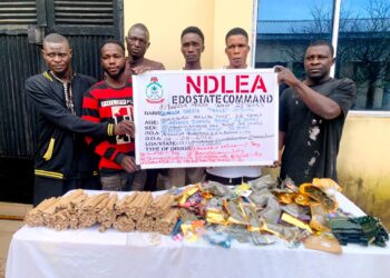 NDLEA Edo State Command destroys cannabis farms of 4,628.9kg in Igbanke forests, arrests 10 suspects in Abuja Quarters raid
