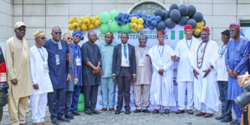 Sarumi, Ogbeifun, Iheanacho, Abidoye, others honoured as NAMM gets new leadership